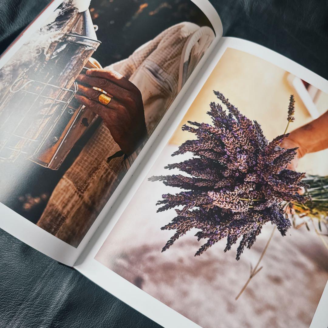 【オマケ付き】LOUIS VUITTON 大きなアートブック【美品】