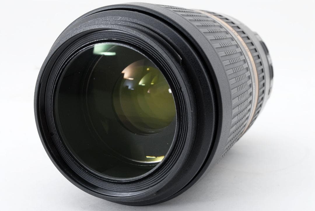 ニコンF SP 70-300mm F/4-5.6 Di VC USD(A005)