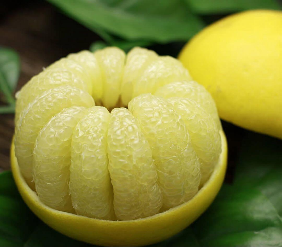 特大の5L、２０キロ