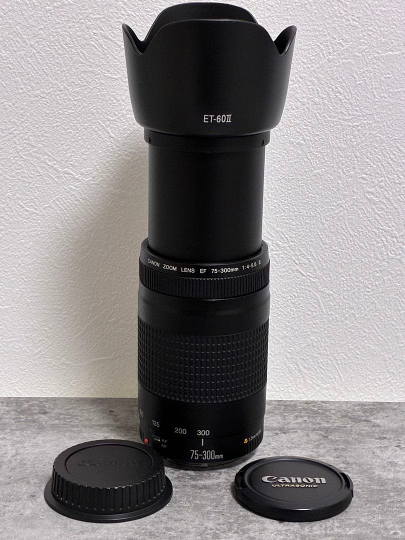 ⭐️美品⭐️ Canon EF 75-300mm F4-5.6 II フード付望遠