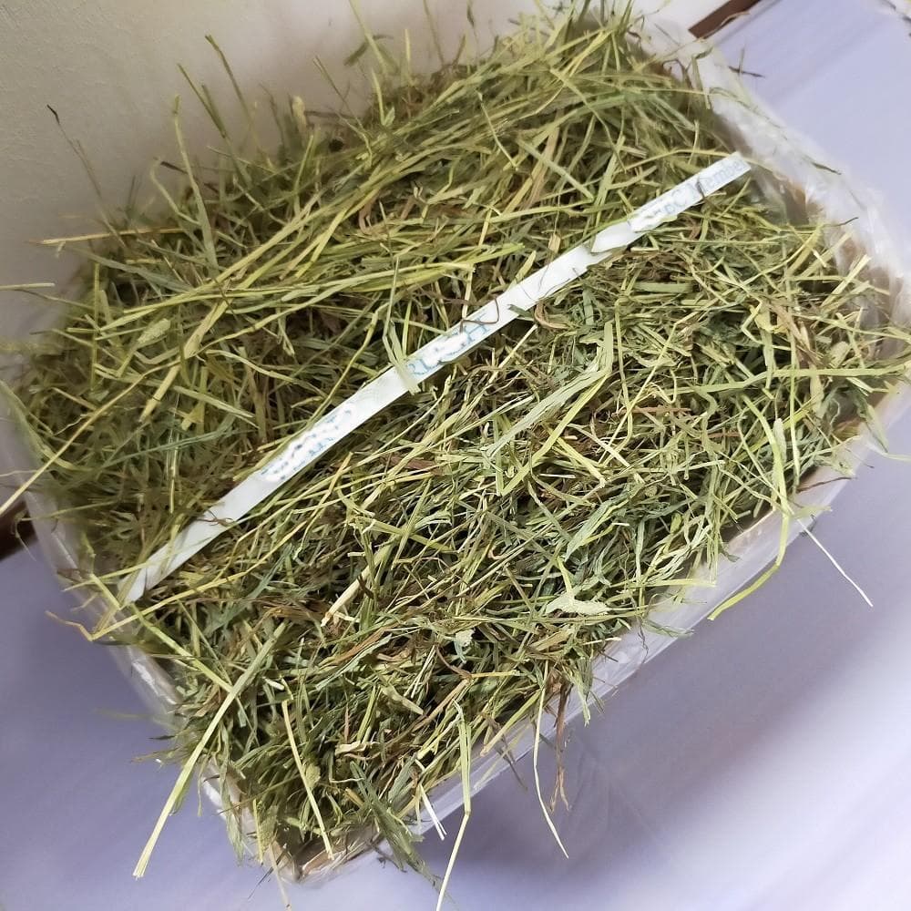 【6/15まで】US産 チモシー 50kg ２番刈 ソフトSプレミアム