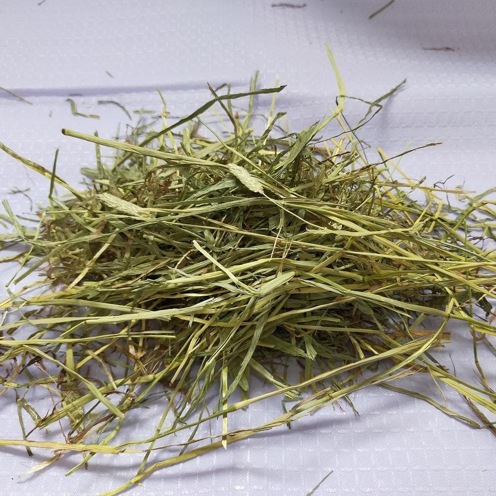 【6/15まで】US産 チモシー 50kg ２番刈 ソフトSプレミアム