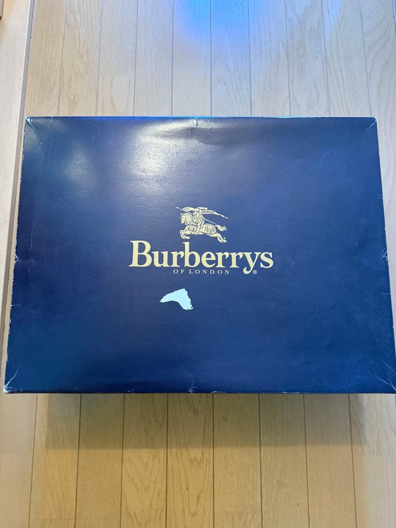 【未使用】Burberrys ダウンケット 150×200　2枚　ペイズリー柄