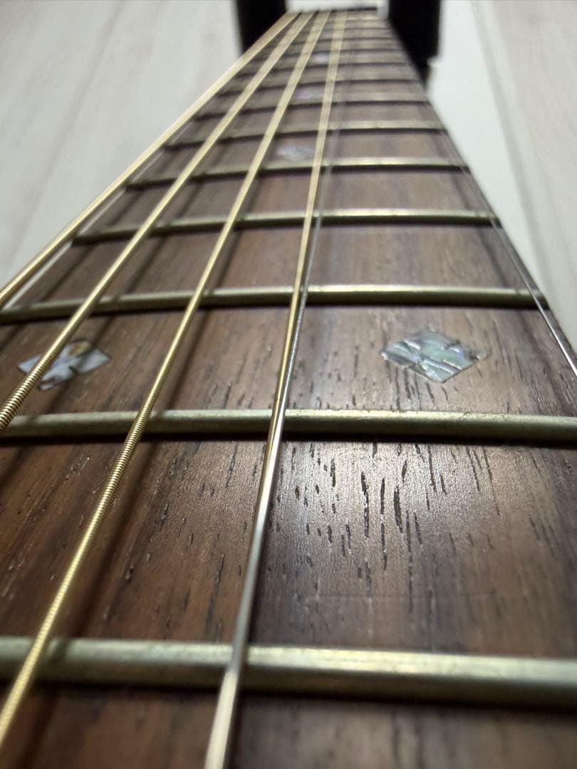 ギター UIUI ColeClark FL2EC RDBW FatLady2