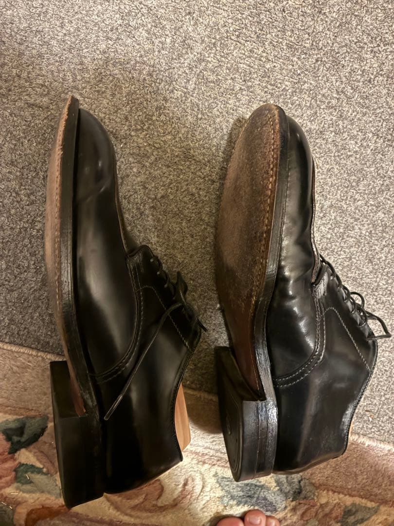 m*b様 【純正ツリー付き】Alden コードバン　 ブラック Vチップ6.5