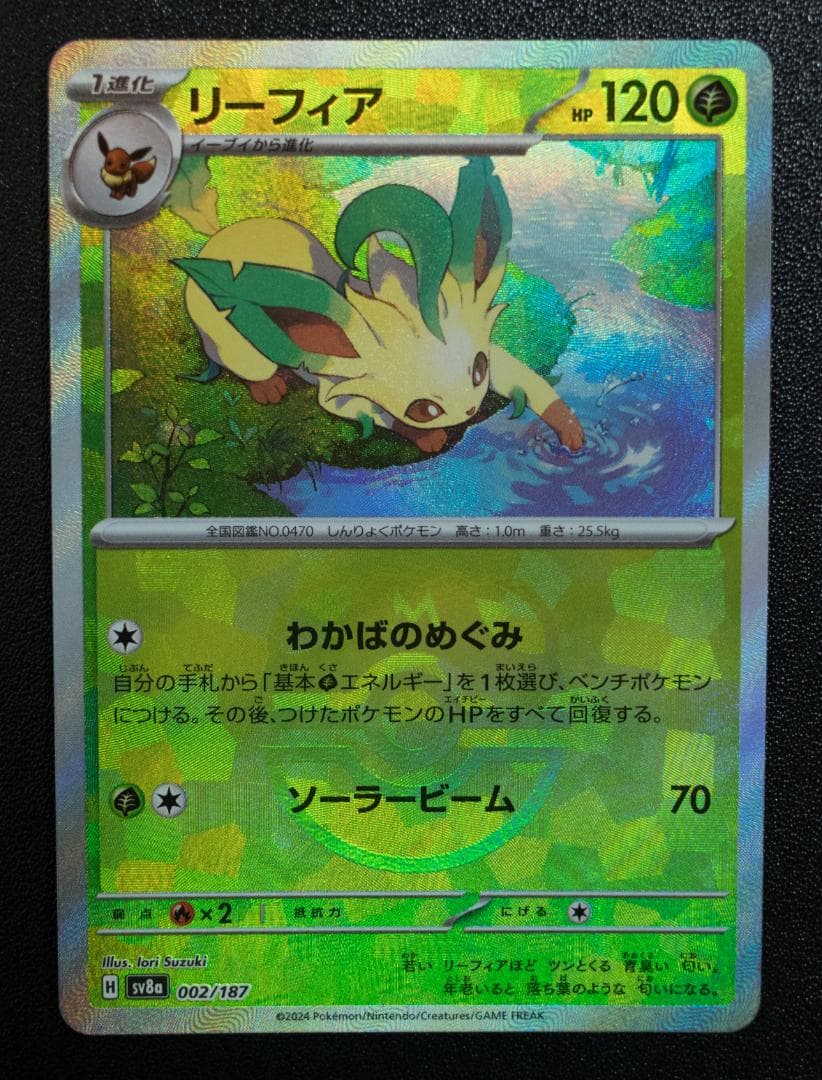 テラスタルフェス草セット