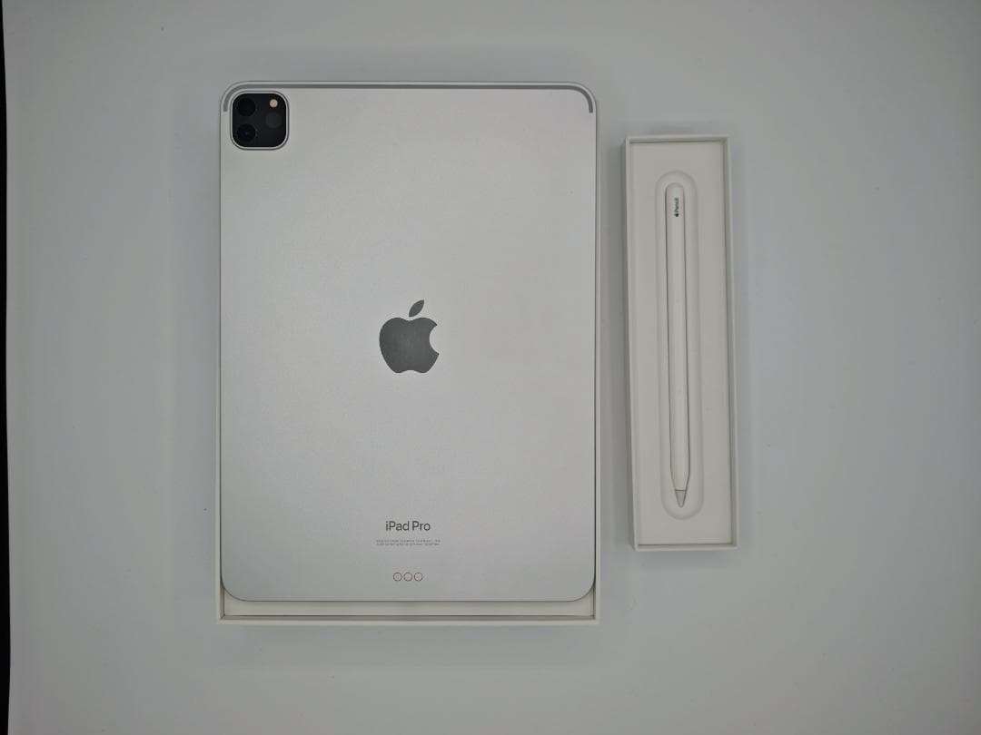 (表示不良) iPad Pro 11インチ 第4世代 Wi-Fi 128GB