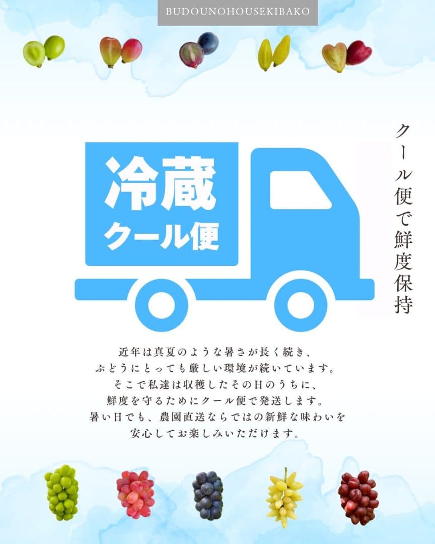 ③ grape Jewelry box　粒2kg