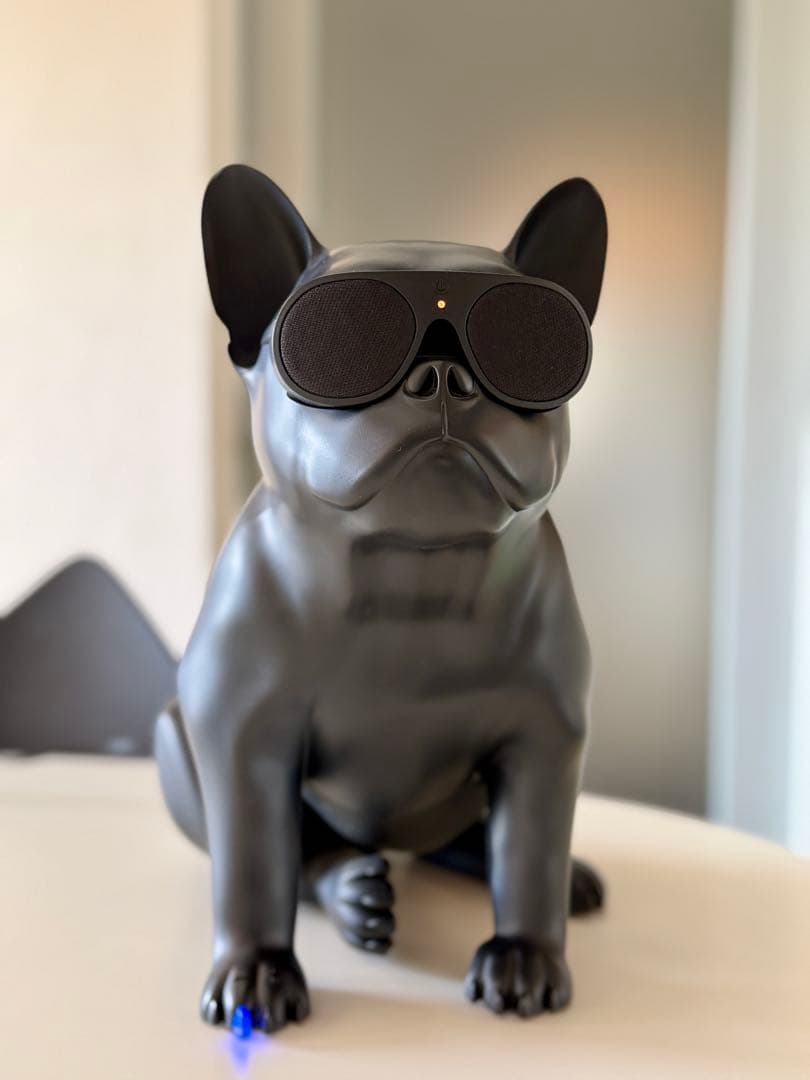 AeroBull XS1 ワイヤレススピーカー　定価99,000円