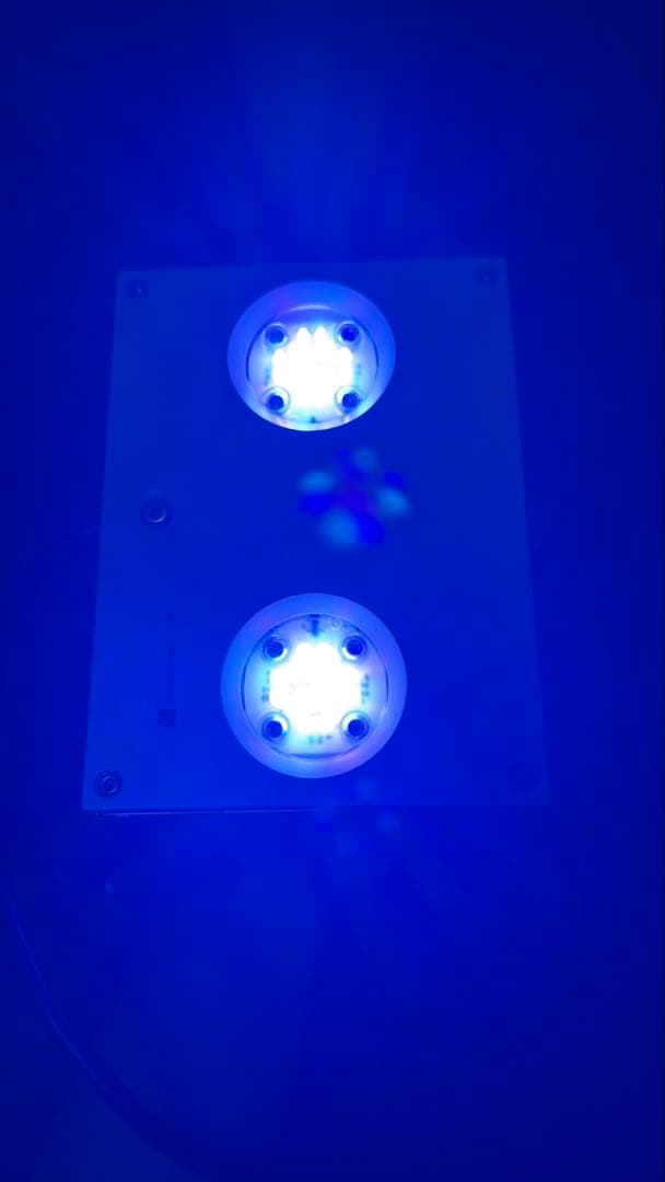 AI ハイドラ32 hydra32 ハンギングキット