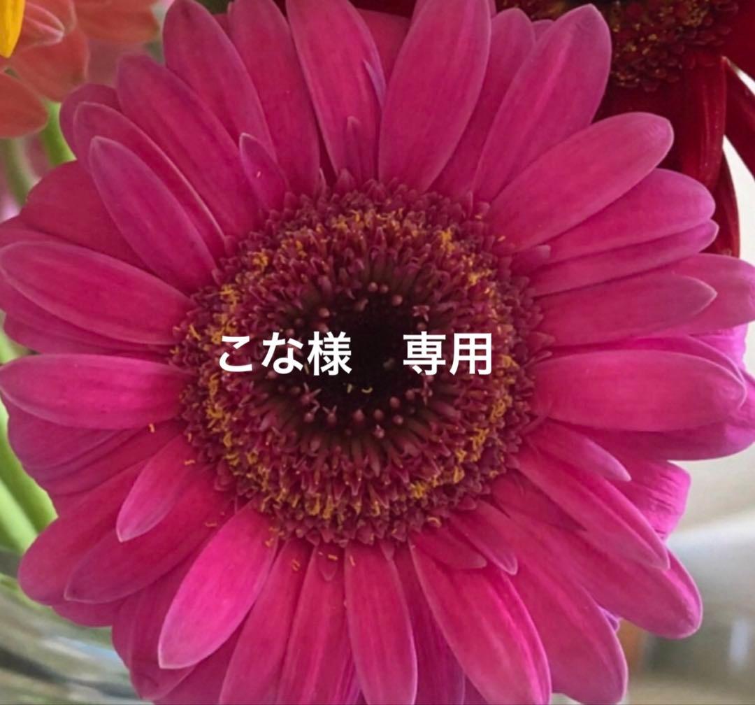 こな　ドクターソワ5点セット