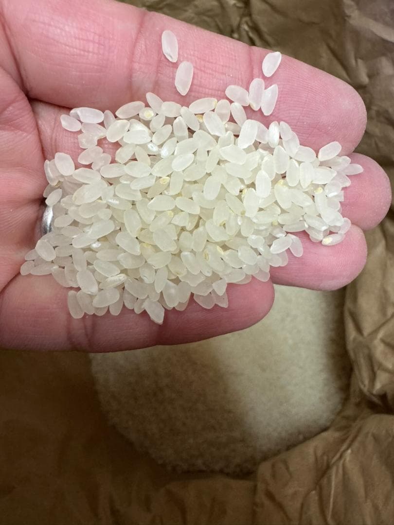 令和7年度産　山口県産（新米）20kg恋の予感　白米/玄米　農家直送　送料無料