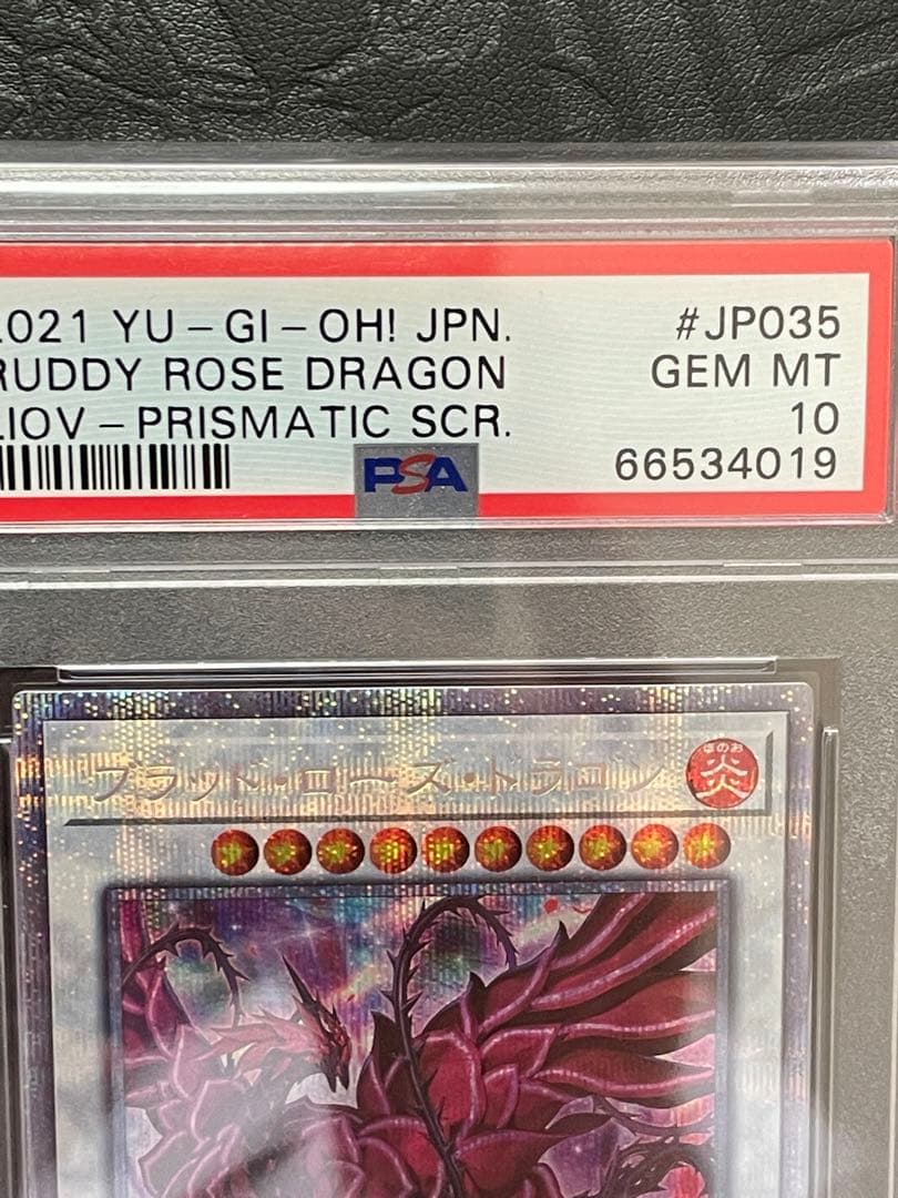 PSA 10 遊戯王 ブラッド・ローズ・ドラゴン プリシク GEMMINT