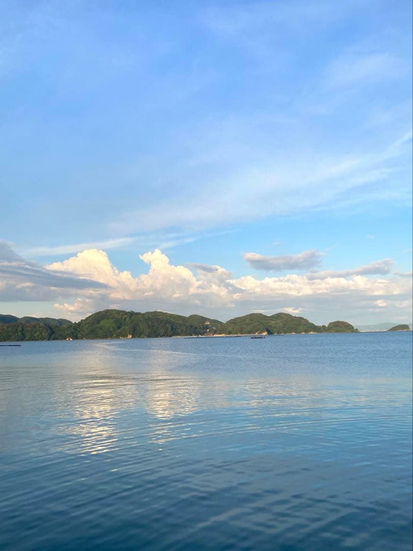 あやたん　ニホンミツバチ　巣蜜　コムハニ　935g