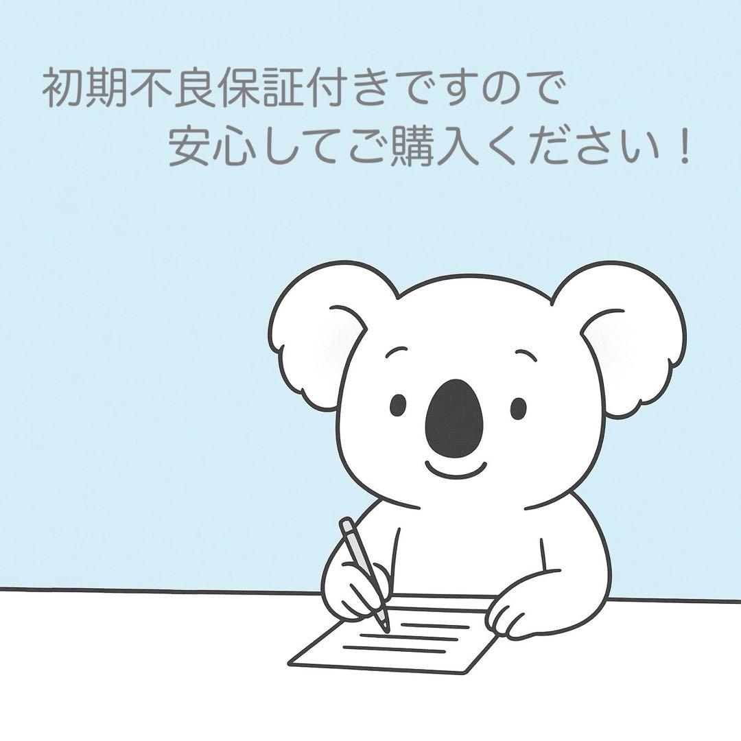 JVC Everio GZ-E765-R ビデオカメラ フルセット a4857