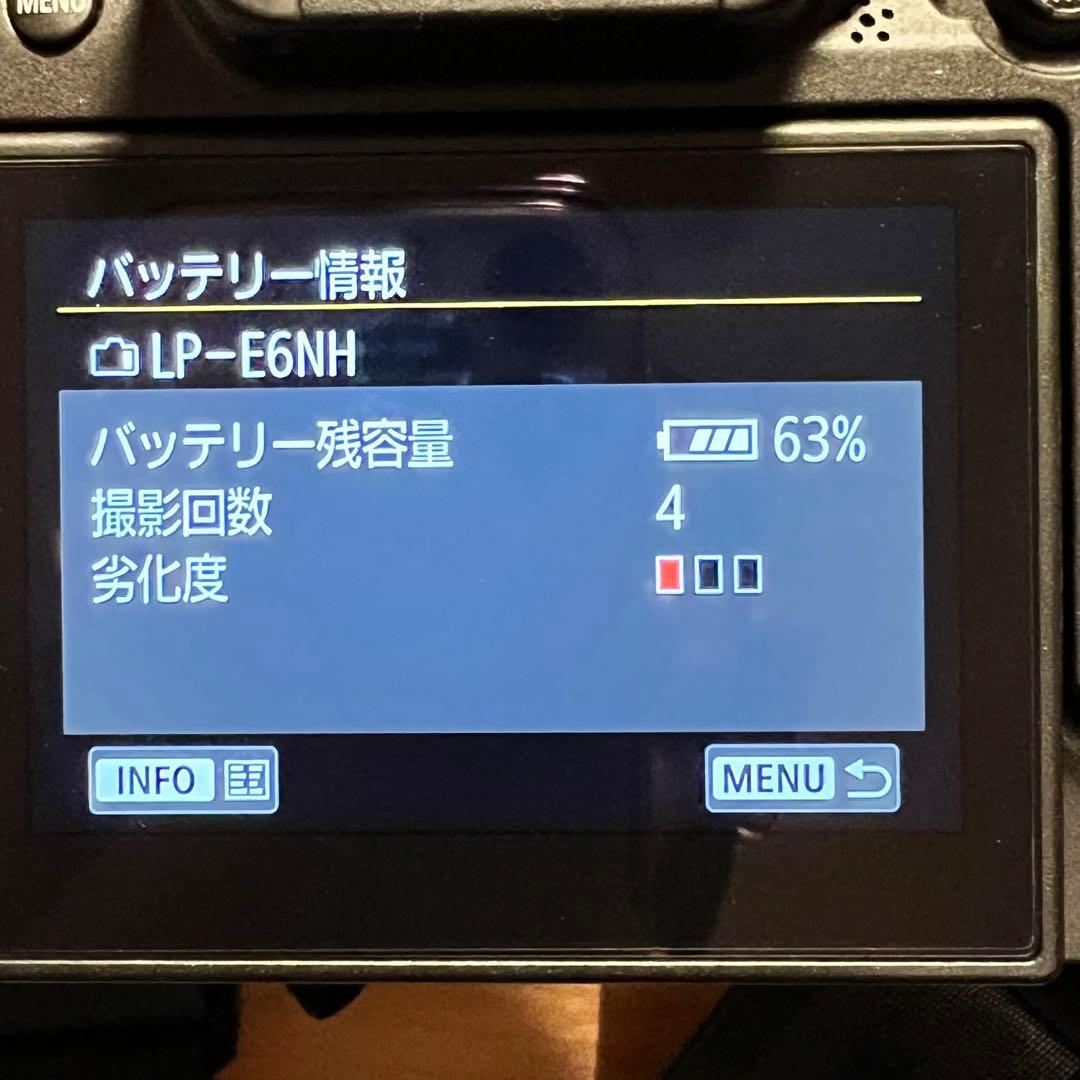 【ショット数5600回未満】Canon R6 美品｜子供撮影のみ