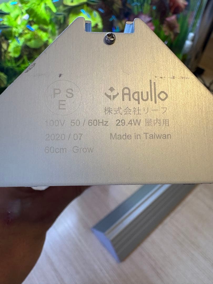 アクロトライアングル 3本セットGrow×2 Terrarium セット