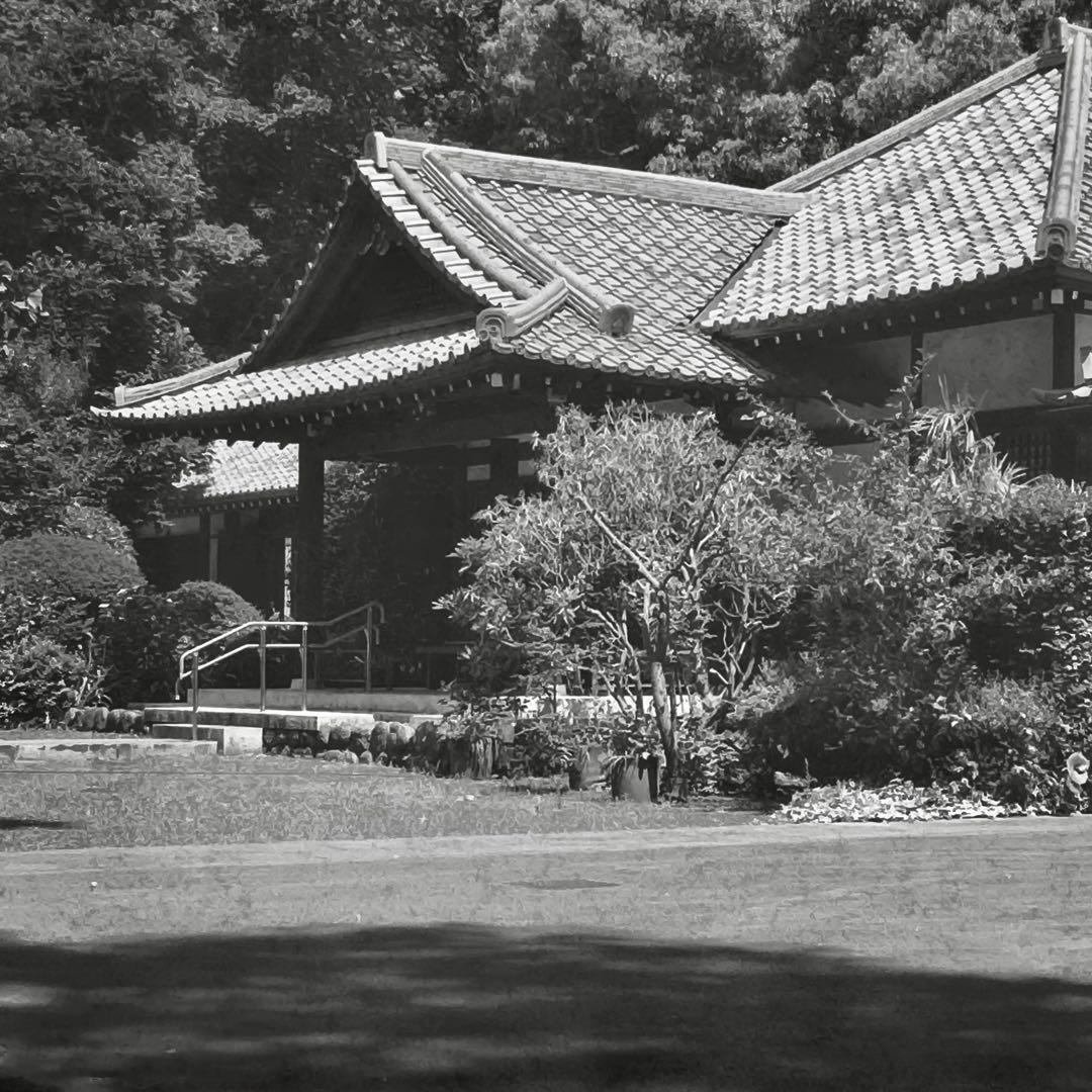 Kodak No.1 Pocket Autographic動作確認済み