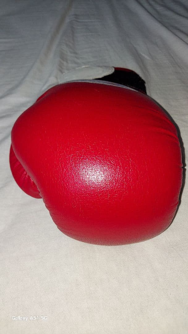 Winning ボクシンググローブ 12 oz 赤