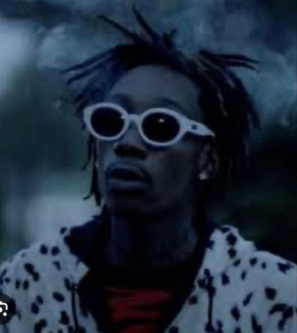 Supreme シュプリーム Frances サングラス