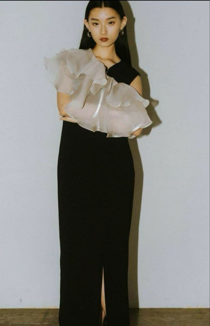 【一度着用】ANDRESD glossy multi ruffle dress