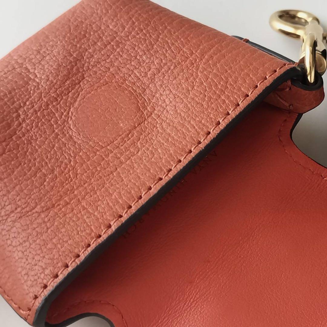 【美品】アニヤハインドマーチ イヤホンケース AirPods タイガー