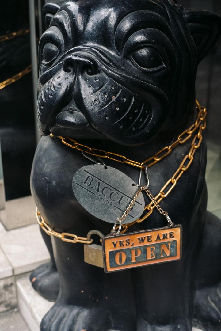 隠れバブルボケレンズ！コニカ Hexanon AR 52mm F1.8シルバー