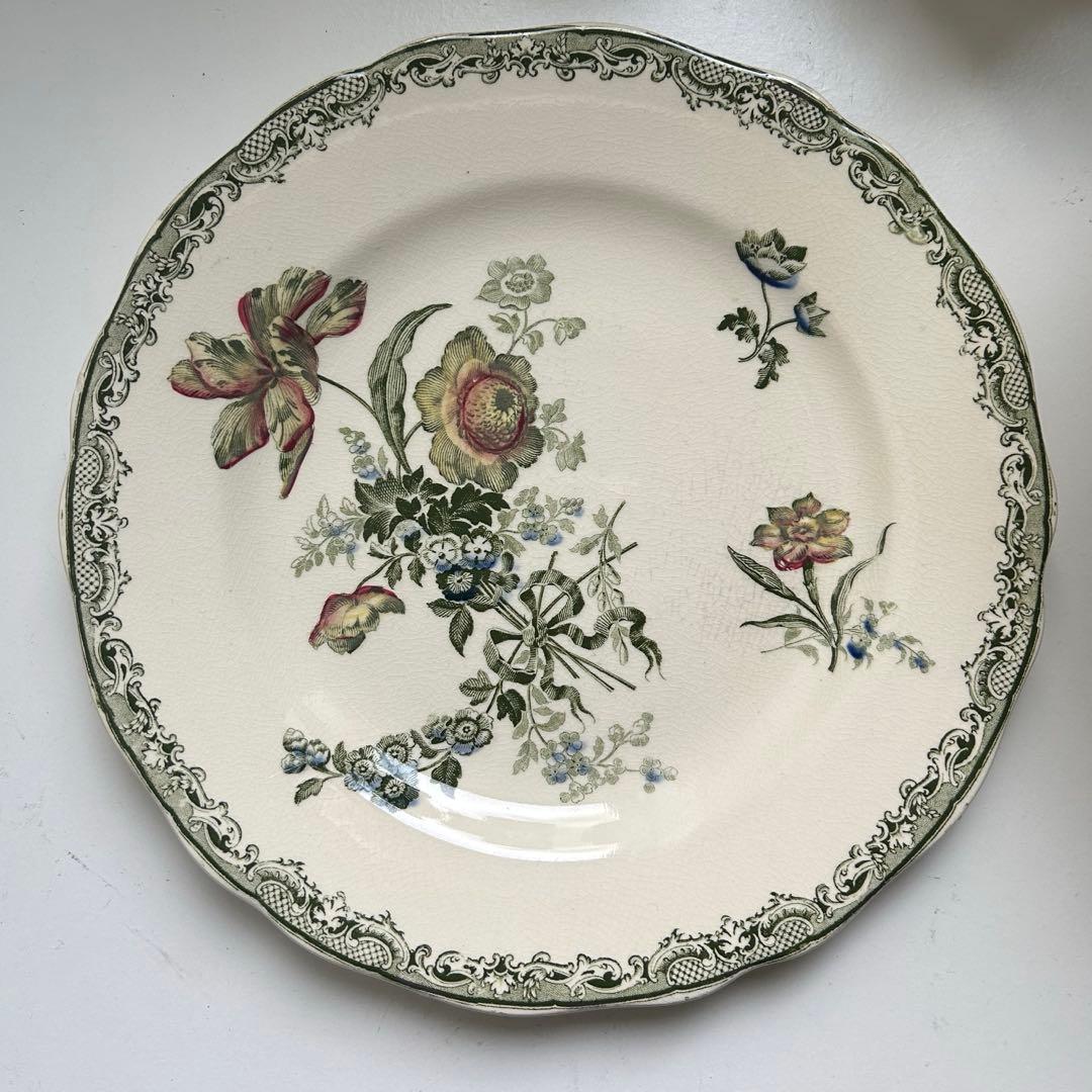 サルグミンヌ　フォンタンジュ　多色　ディナープレート