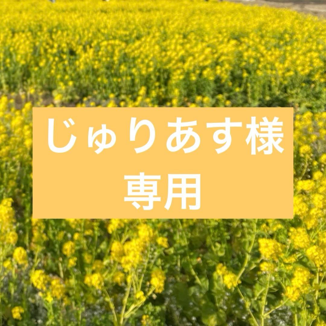 【じゅりあす】バーバリー2点、ファミリア1点