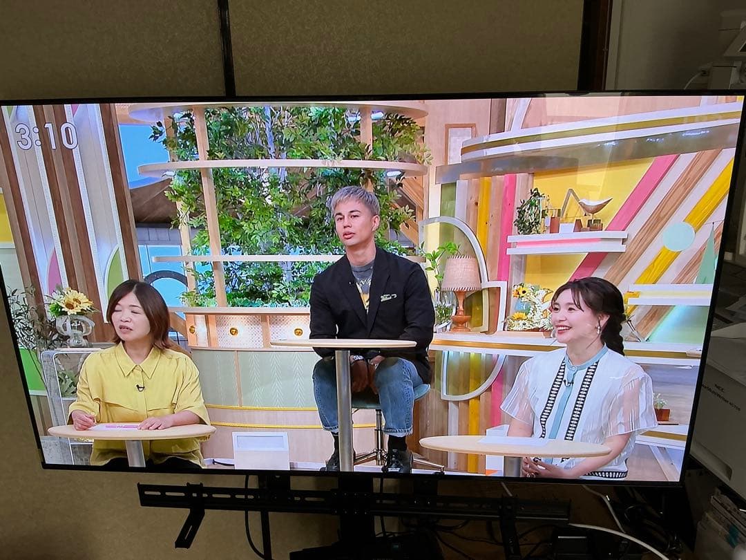 有機ELテレビ　OLED55B3PJA [55インチ]