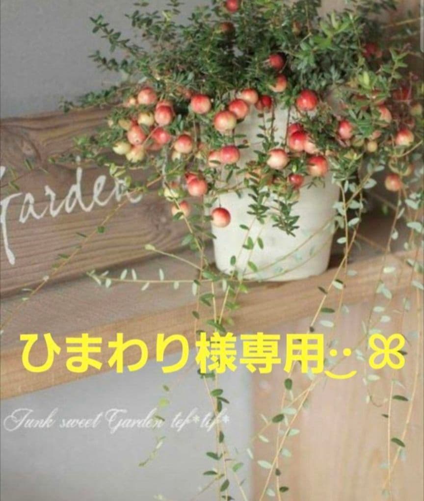 ひまわりさま専用ページです