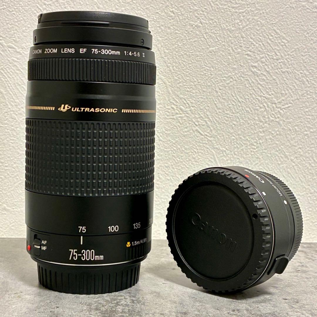 ⭐️美品⭐️Canon EFS 75-300 II & EF-EOS M アダプター