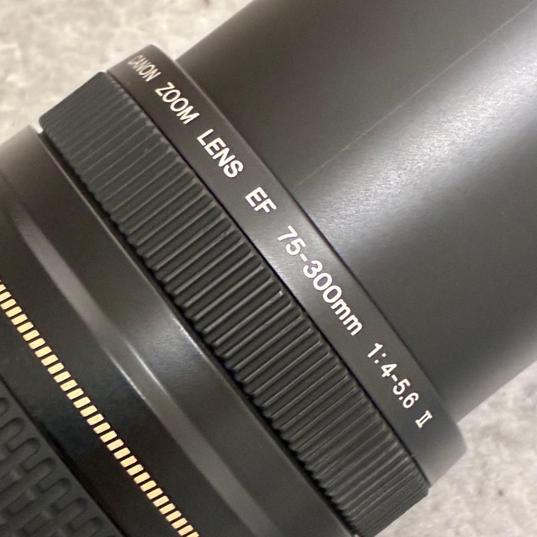⭐️美品⭐️Canon EFS 75-300 II & EF-EOS M アダプター