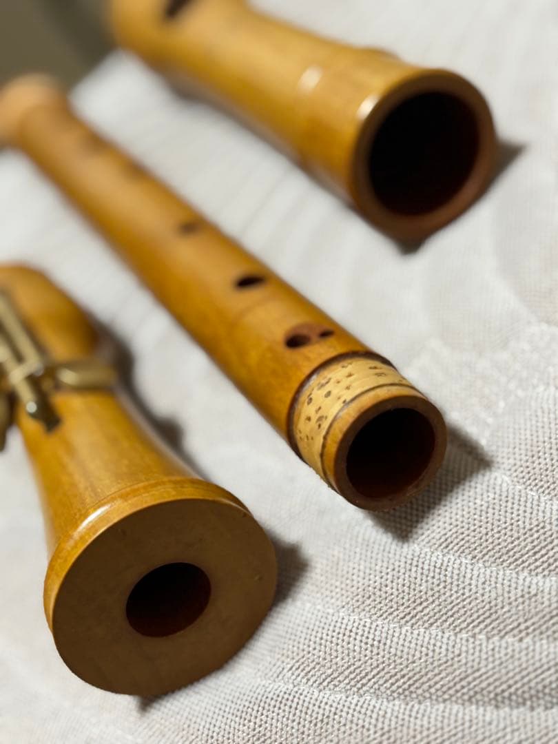 Mollenhauer 2446 Canta テナーリコーダー