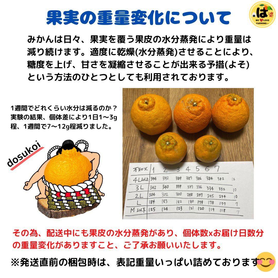 ※確認用　訳あり　大玉MIX箱込み9.5kg以上【露地栽培　不知火　デコポン】